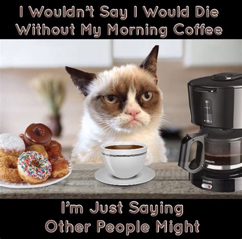 coffee cat memes